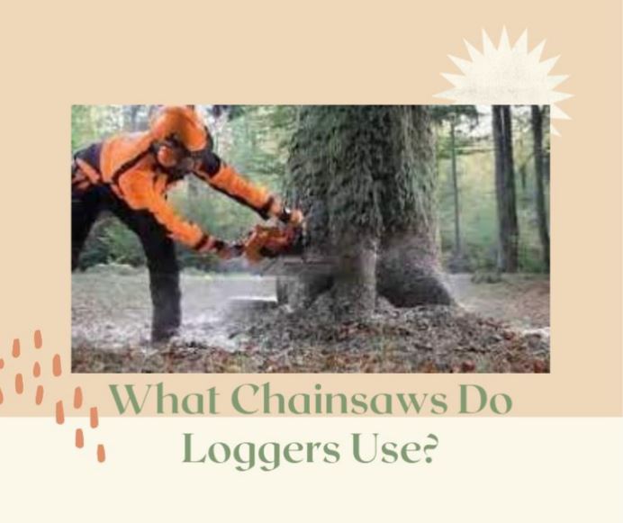 What Chainsaws Do Loggers Use?